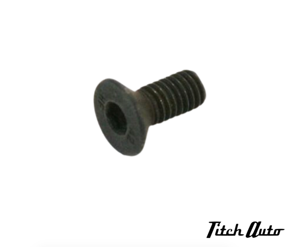 Ferrari Screw M6 x 14 TSEI - TitchAuto