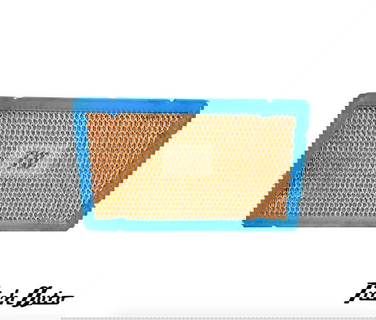 Ferrari Air Filter for Ferrari 355, 456 GT/GTA, 456 M - TitchAuto