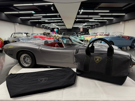 Lamborghini Alcantara Luggage LIKE NEW TitchAuto
