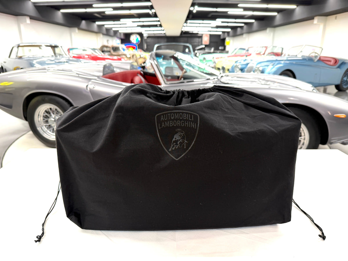 Lamborghini Alcantara Luggage LIKE NEW TitchAuto