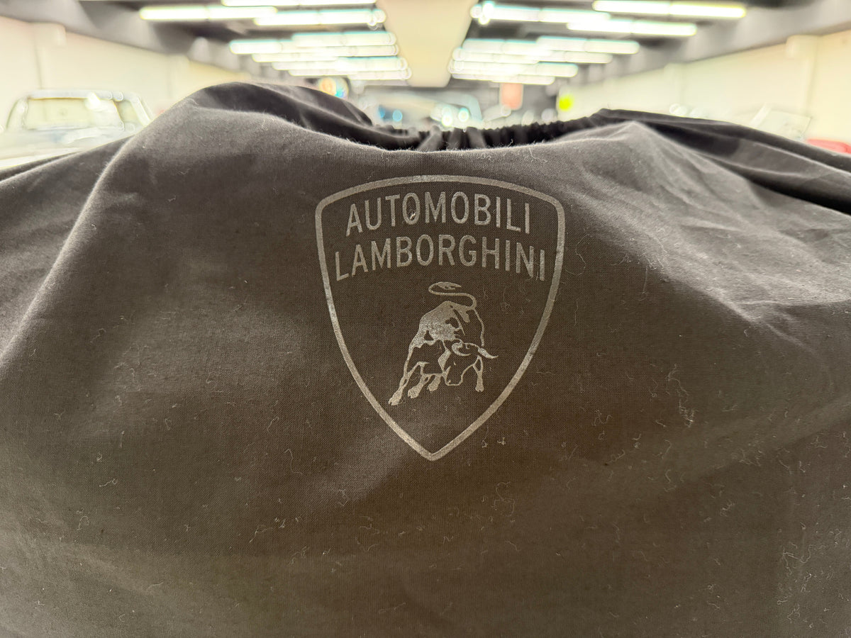 Lamborghini Alcantara Luggage LIKE NEW TitchAuto